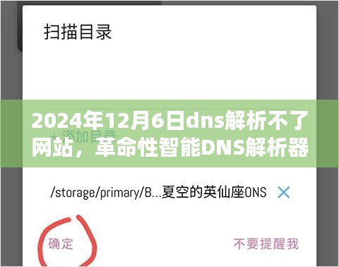 革命性智能DNS解析器解决网站解析难题，开启未来网络新纪元（2024年12月6日）