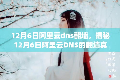 揭秘阿里云DNS翻墙真相，技术与安全解读揭秘日（附深度解读）