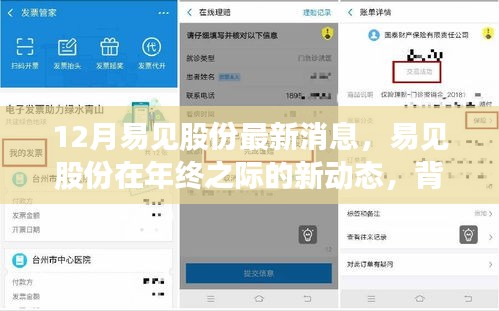年终之际易见股份最新动态，背景深度解析与行业领域地位展望