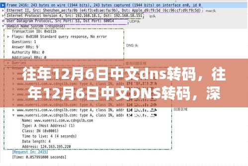 往年12月6日中文DNS转码解析与观点阐述