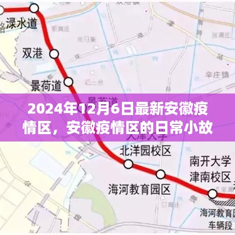 安徽疫情区温情与友情的交织，日常小故事与最新动态（2024年12月6日）