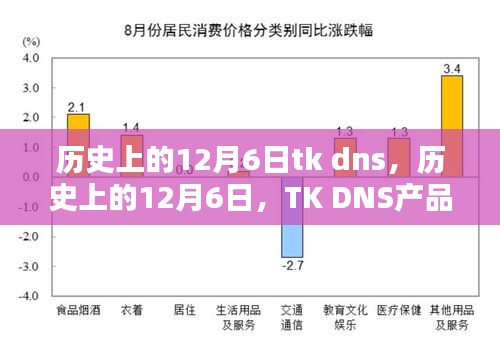 历史上的12月6日，TK DNS产品深度评测与介绍