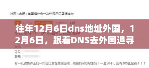 12月6日追寻内心宁静之旅，跟随DNS探索异国DNS地址的奇妙之旅