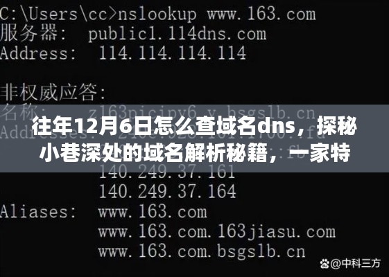 探秘往年12月6日的域名DNS解析秘籍，小巷深处的特色小店故事