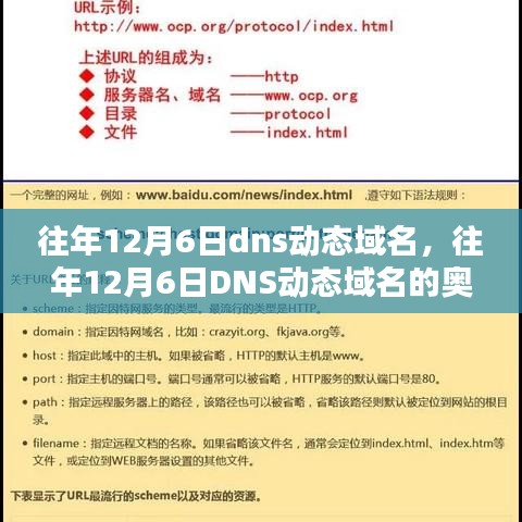 往年12月6日DNS动态域名的秘密与实战应用解析