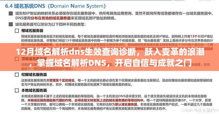 掌握域名解析DNS，开启自信与成就之门，12月域名解析DNS生效查询诊断与变革浪潮探索