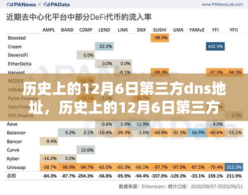 历史上的第三方DNS地址解析入门指南，从入门到精通的步骤教程（12月6日篇）