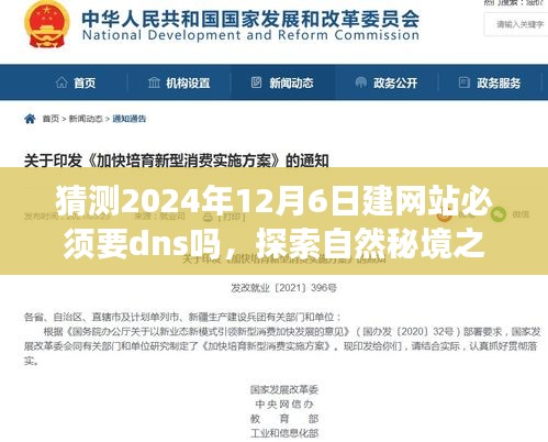 探索自然秘境之旅，建网站与DNS导航的必备要素预测（2024年启程）