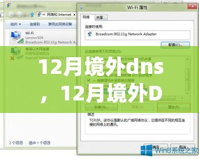 12月境外DNS服务全面解析与深度评测