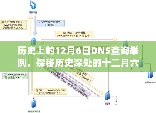 2024年12月8日 第17页