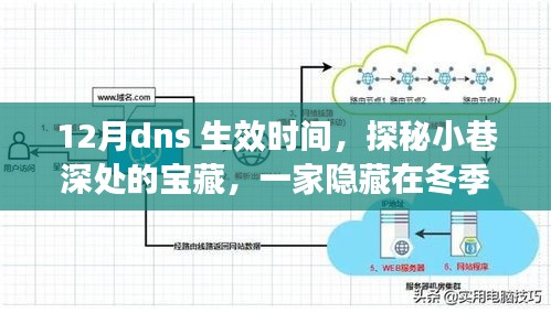 探秘冬季DNS生效背后的独特小巷宝藏店