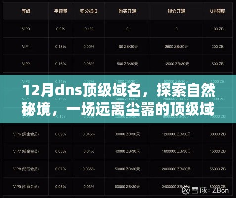 12月dns顶级域名，探索自然秘境，一场远离尘嚣的顶级域名之旅，寻找内心的宁静与平和