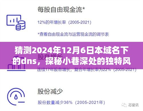 探秘域名深处，小巷独特风味与秘密小店的DNS猜想之旅（2024年12月6日）