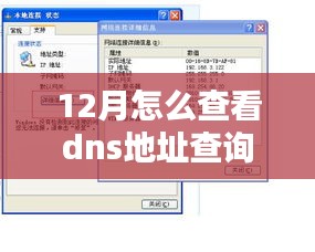 详细步骤指南，如何在12月查询DNS地址？教你轻松掌握DNS查询方法