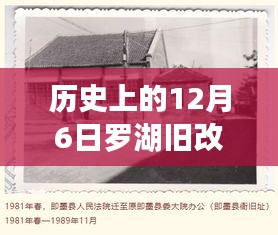 历史上的12月6日深度解析，罗湖旧改最新消息2017（上）