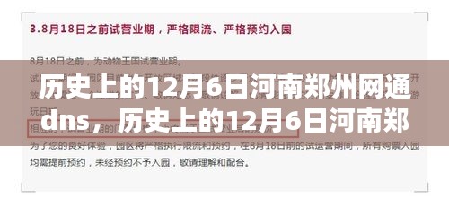 历史上的河南郑州网通DNS评测介绍，12月6日全面回顾与深度解析