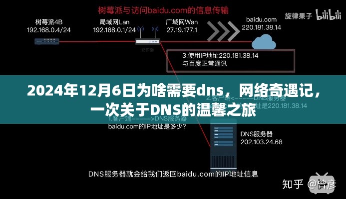 网络奇遇记，探寻DNS的奥秘与温馨之旅