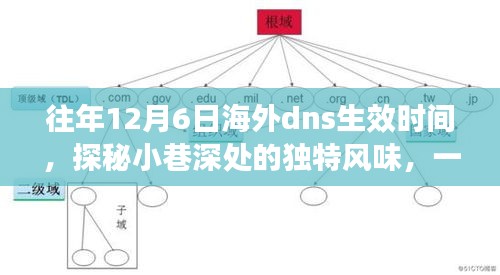 探秘时光深处的独特风味，一家隐藏在小巷深处的特色小店的故事与往年海外DNS生效时间揭秘