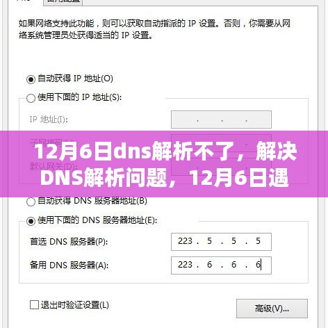 解决DNS解析问题，应对步骤与指南