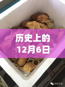 历史上的12月6日海鲜市场变革，新纪元的力量与未来梦想之旅