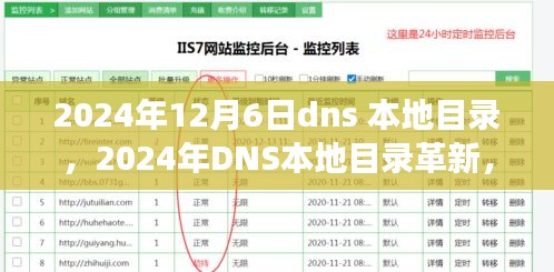 2024年DNS本地目录革新，引领信息技术时代变迁