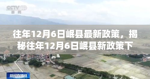 揭秘岷县新政策下的巷弄秘境，一家特色小店的独特魅力往年12月6日解读