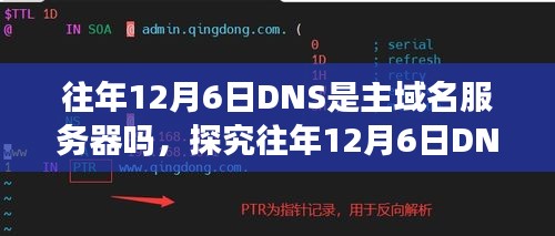 往年12月6日DNS是否曾为主域名服务器，深入分析与观点阐述