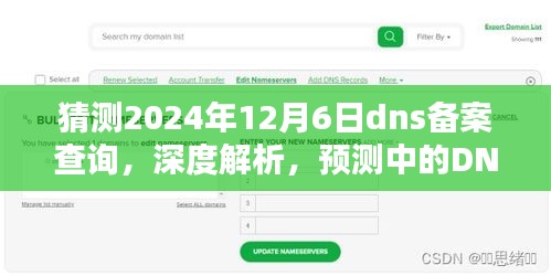 建议，深度解析与预测，未来DNS备案查询体验展望——以2024年12月6日为例的猜测体验报告