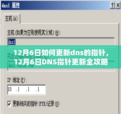 12月6日如何更新dns的指针，12月6日DNS指针更新全攻略，一步步教你如何操作