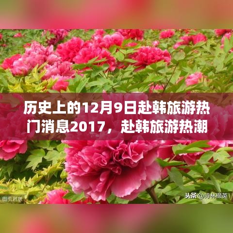 历史上的12月9日赴韩旅游热门消息2017，赴韩旅游热潮，回顾历史上的十二月九日，探寻二〇一七年独特魅力之旅