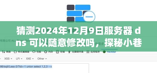 探秘小巷特色小店，未来DNS服务器修改的可能性与奇妙一日体验猜想