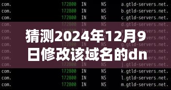 逐步指南，猜测并修改域名DNS指向——初学者与进阶用户操作教程（针对2024年12月9日）