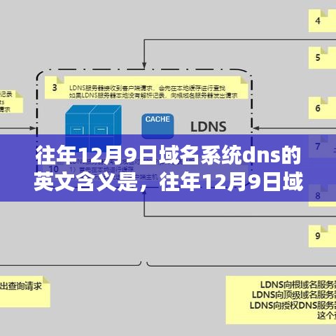 往年12月9日域名系统DNS详解，英文含义、特性、体验、竞品对比及用户洞察分析