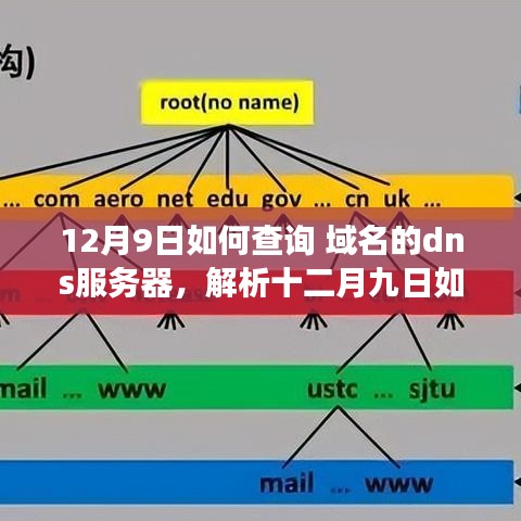 多方观点与个人立场下的域名DNS服务器查询方法，十二月九日指南