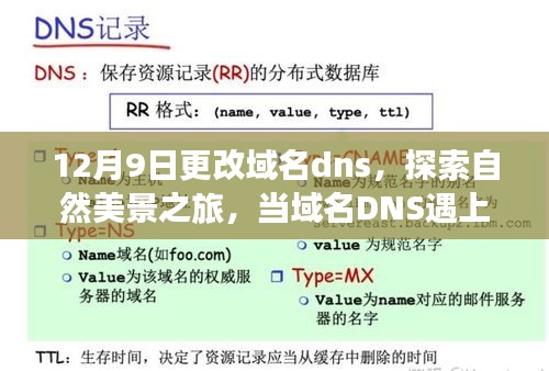 域名DNS变更之旅，与自然美景的奇妙缘分，探寻内心的宁静与平和