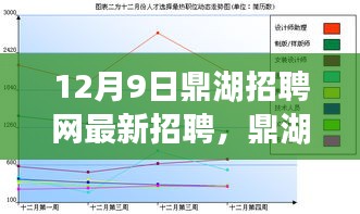 鼎湖招聘网最新招聘动态，把握机遇，启程职场未来之路