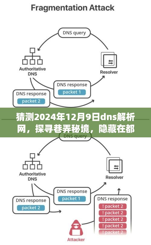 猜测2024年12月9日dns解析网，探寻巷弄秘境，隐藏在都市角落的DNS解析特色小店