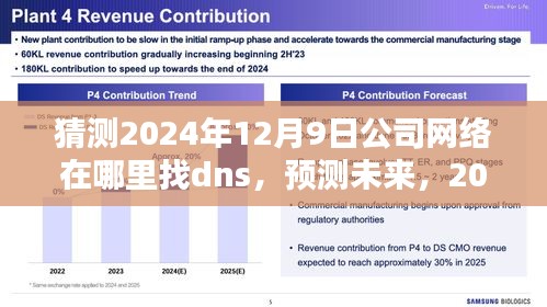 2024年12月9日公司网络DNS搜寻位置分析与预测