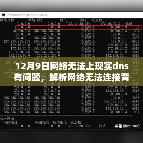 现实DNS问题与虚拟连接，网络挑战案例解析