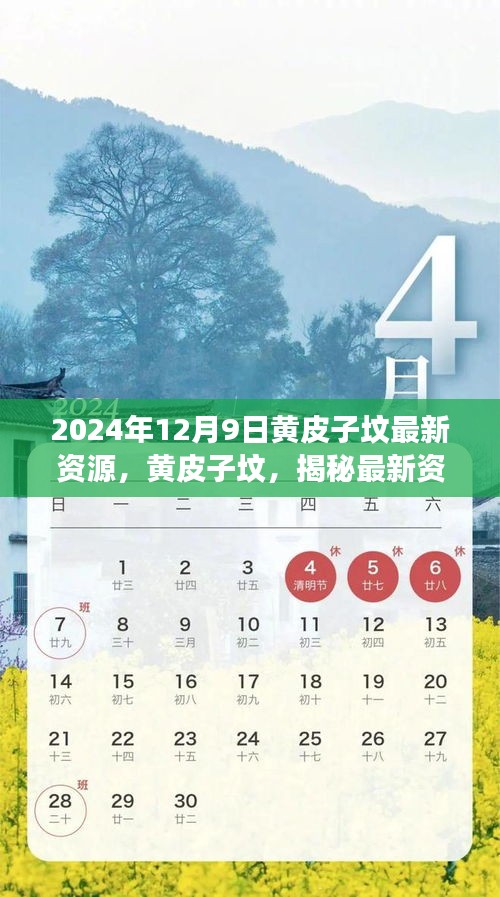 深度回顾，揭秘黄皮子坟传奇故事与影响，最新资源一览（2024年12月9日）