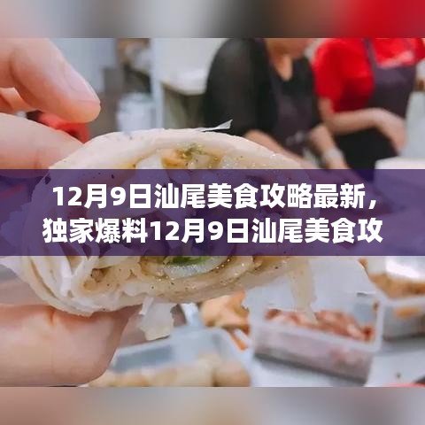 12月9日汕尾美食攻略最新，独家爆料12月9日汕尾美食攻略新鲜出炉，带你解锁当地美食新姿势！