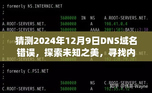 关于DNS域名错误的奇妙探索，畅想未知的内心宁静之地，预测未来的旅程（2024年12月9日）