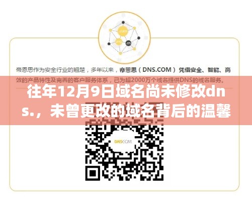 未曾改变的域名背后的故事，12月9日的守护与温馨回忆