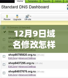域名修改日，DNS调整背后的神秘之旅与小改变带来的大冒险