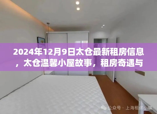 太仓租房信息更新，温馨小屋故事与家的温暖