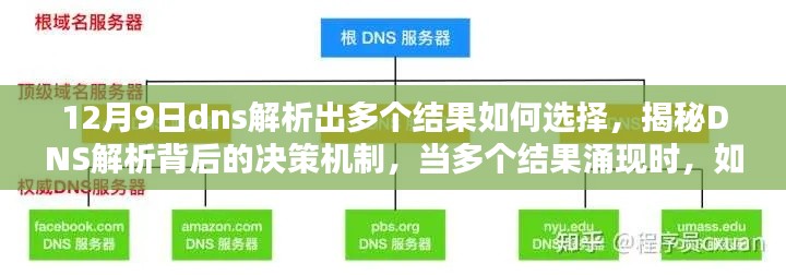 揭秘DNS解析决策机制，如何选择多个结果中的最佳选项？