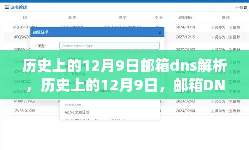 历史上的12月9日邮箱DNS解析背后的励志故事，变化之旅的自信与成就感奇迹