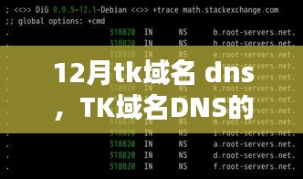 TK域名DNS的崛起与影响，十二月回望与前瞻