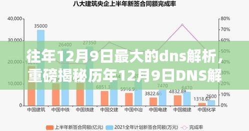 揭秘历年巅峰之战，揭秘历年十二月九日DNS解析真相大解密！