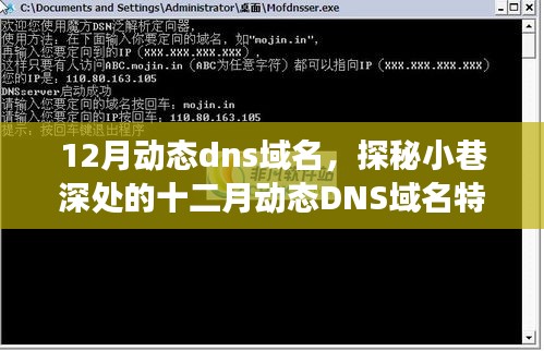 探秘十二月动态DNS域名特色小店，小巷深处的味蕾盛宴